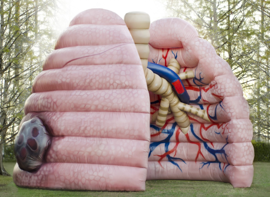inflatable lung
