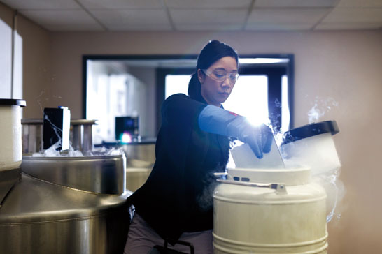 Karmanos stem cell laboratory