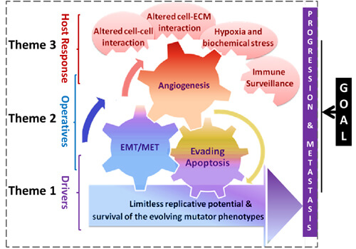 scientific theme for tumor biology